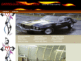 darrelcustomauto.com