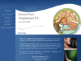 ecareacupuncture.com