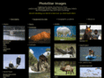 photostarusa.com