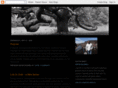 thechristianstand.com