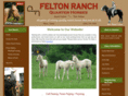 feltonquarterhorses.com