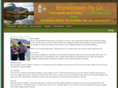 brookstreamfly.com