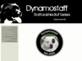 dynamostaff.com