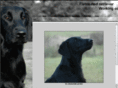 dogkeepers.com