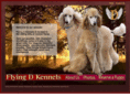 flyingdkennel.com