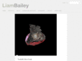 liambaileyprojects.com