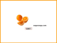 nagarunga.com