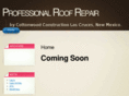 rooflascruces.com