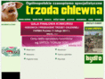 trzoda-chlewna.com.pl