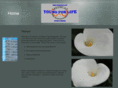 youngforlife.net