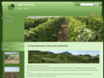 agricargroup.com