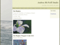 andrealeemcneill.com