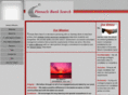 pinnaclebanksearch.com
