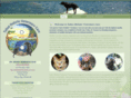 tahoeholisticvet.com