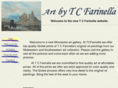 tcfarinella.com