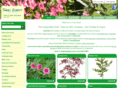 treesdirect.co.uk