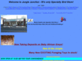 birdsinri.com