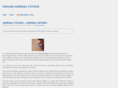 healingadrenalfatigue.com