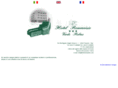 hotelromanisio.com