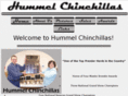 hummelchinchillas.com