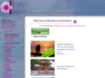 beachesanddreams.com