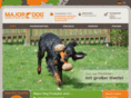 majordog.de