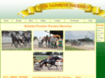yorkharnessraceway.com