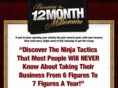 12monthsinternetmillionaire.com