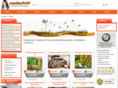 wand-traum.com