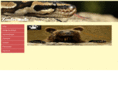 zoofreunde.net