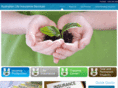 australianlifeinsurance.com