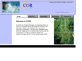 ccorllc.com
