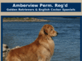 amberview.net