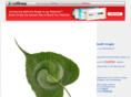 bodhiimages.com