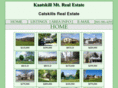 catskillsmtnrealestate.com
