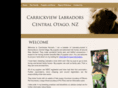 carrickviewlabradors.co.nz