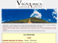 vignaamica.com