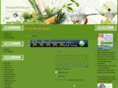 allergiesbgone.com