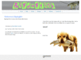 bigdogfish.com