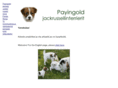 payingold.com