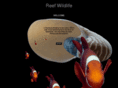 reefwildlife.com