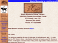 ridingtherapy.com