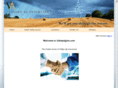 valleyagins.com