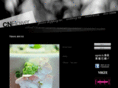 cnflower.com.tw