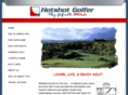 hotshotgolfer.com