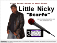 littlenickyscarfo.com