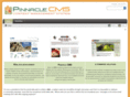 pinnacleitcmsdemo.com