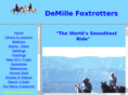 demillefoxtrotters.com