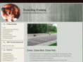 focusdogtraining.com