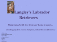 langleylabs.com